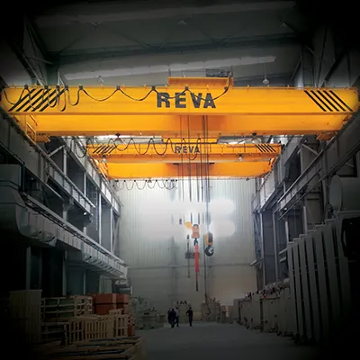 https://www.revacranes.com/wp-content/uploads/2024/08/DG-EOT-Crane.webp